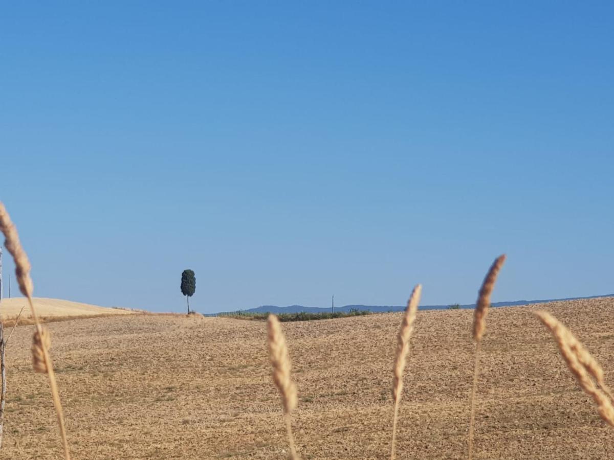 Dimora In San Quirico D'Orcia Διαμέρισμα Εξωτερικό φωτογραφία