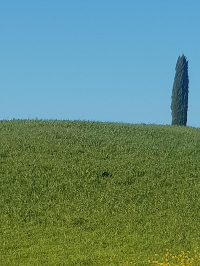 Dimora In San Quirico D'Orcia Διαμέρισμα Εξωτερικό φωτογραφία