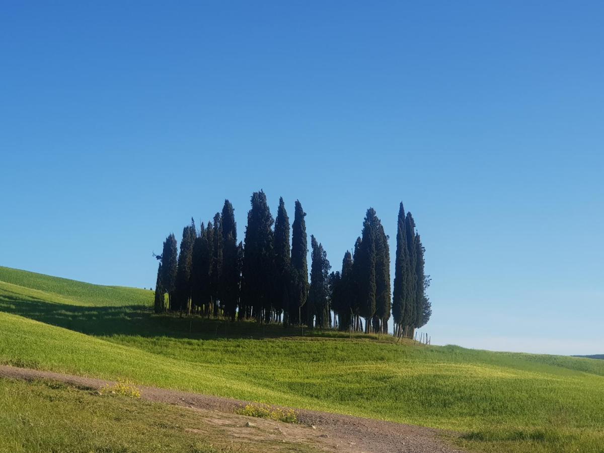 Dimora In San Quirico D'Orcia Διαμέρισμα Εξωτερικό φωτογραφία